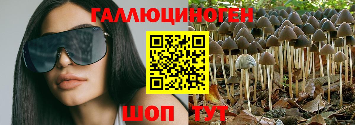 Верхний Уфалей  Галлюциногенные грибы прущие грибы  Вход с VPN 